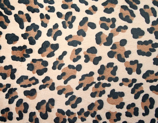 Plüsch kaufen: 3mm Leopardenplüsch