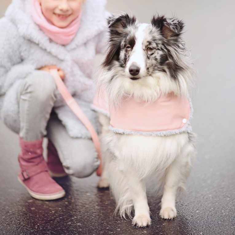 Hundejacke nähen mit Schnittmuster "FIFFI"
