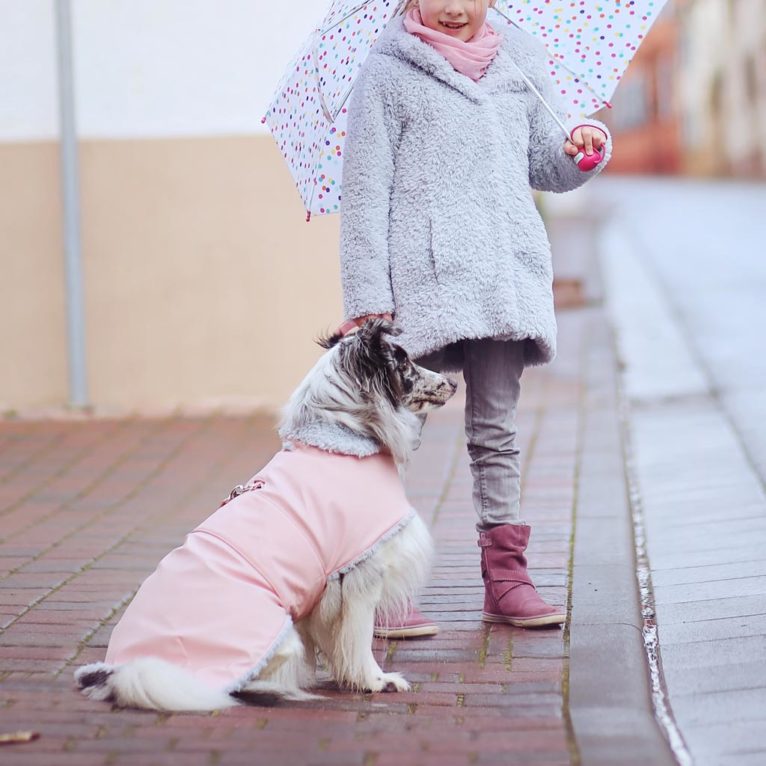 Chihuahuapullover Schnittmuster Nähen - Hundemantel Nahen Mit Schnittmuster Fiffi Kullaloo ...