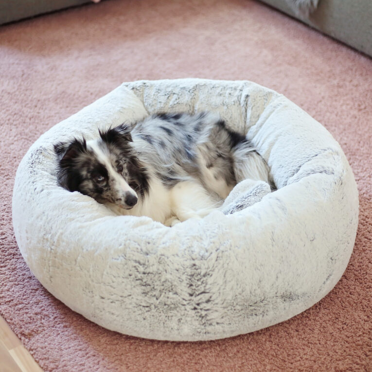 Katzen- oder Hundedonut nähen mit Schnittmuster "STROLCHI"