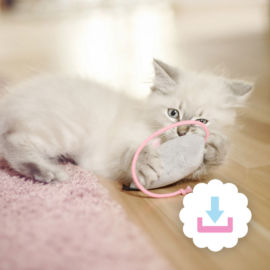 Schnittmuster Stoffmaus Schnittmuster Stoffmaus