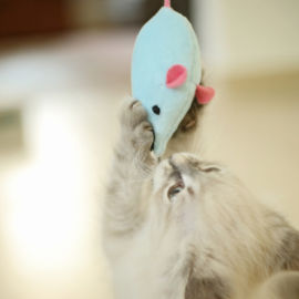 <a href="https://www.kullaloo.de/katzenspielzeug-selber-naehen-freebook-stoffmaus/" target="_self">Maus</a> Katzenspielzeug nähen: Stoffmaus