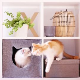 <a href="https://www.kullaloo.de/naehen-fuer-haustiere/katzenhoehle-naehen-aus-filz/" target="_self">Katzenhöhle</a> Katzenhöhle