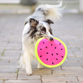 <a href="https://www.kullaloo.de/naehen-fuer-haustiere/hundespielzeug-naehen-frisbee/" target="_self">Melonen-Frisbee</a> Melonen-Frisbee nähen für Hunde